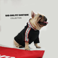 Spoof Autumn And Winter Sports Dog Clothes Spring Sweater