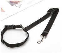 Multicolor Fashion Pet Car Seat Belt Towing Rope