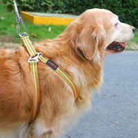 Wire Rope Dog Leash Pet Towing Rope