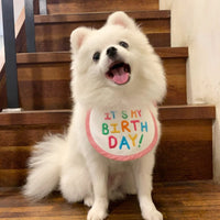Embroidery Dog Bib Pet Cat Dog Bib Saliva Towel