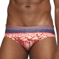 Men's briefs competition swimming trunks