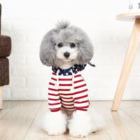 Small dog two-legged cat costume