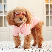 Teddy clothes plus velvet thick hooded sports sweater