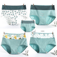 Autumn underpants girl 100% cotton