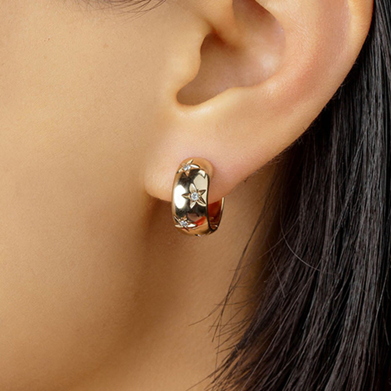 Cold Style High-grade Photosensitive Surface Earrings Micro-inlaid Asterism Zircon Small Ear Ring