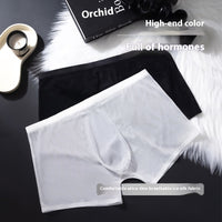 Transparent Ice Silk Boxers Seamless Boxers