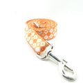 Thick pet leash medium and large dog leash