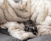 Fox Fur Waterproof Plush Dog House Plush Blanket Pet Nest