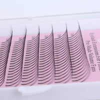 2D-6D Long Root Hairs Grafted Eyelashes 0.10 Single Hairs