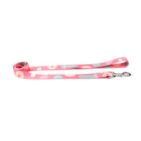 Pet traction belt