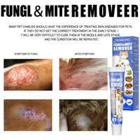 Pet Anti-mite Cream Skin Anti-itching Cat External Care