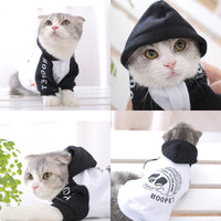 Puppy pet autumn and winter clothes