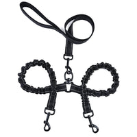 Explosion-proof double-headed pet leash