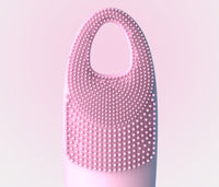 Electric cleansing instrument cleaning