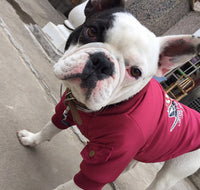 Jacket Cotton Plus Fleece Pet Sweater