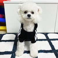 Autumn And Winter Dog Clothes Cartoon Cute