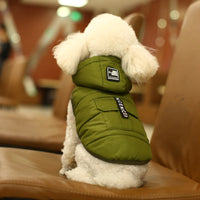 Pet thick cotton vest