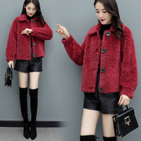 Lamb Wool Coat Women's Short Small Student Sweater