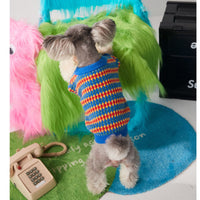 Autumn And Winter Color Round Neck Pullover Dog Sweater