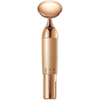 Electric Beauty Importer Facial Vibration Massager Mask