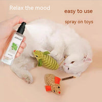 Household Personalized Cat Happy Water