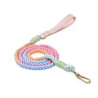 Rainbow Traction Rope Collar Adjustable Medium And Large Dog Outing Chain