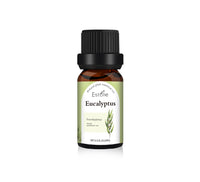 Plant Unilateral Skin Care Massage Aromatherapy Fragrant Stone Aromatherapy Oil