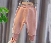 Winter Women's Thickened Warm Casual Pants