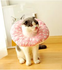Anti-bite, anti-lick, anti-scratch headgear