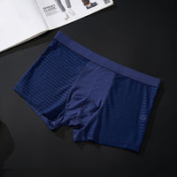 Silky mesh boxer briefs