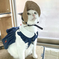 Pet Hat Cat Lace Sun Protection