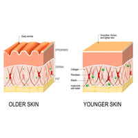 Intensive Anti-wrinkle Fade Fine Lines And Dark Circles Adjust Skin Tone Tighten And Moisturize Skin Care