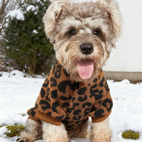 Fashion New Leopard Dog Warm Sweater