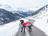 Pet Coat Waterproof Windproof Puppy Small And Medium-sized Dogs