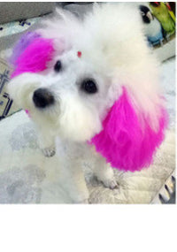 Personalized Dressing Up Dye For Dog Hair