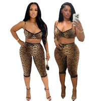 European And American Style Fashion Leopard Print Sexy Bra Lace Trimmed Cropped Pants Set