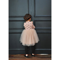 Children dress Korean girls long sleeved dress new autumn and winter. The spot direct manufacturers
