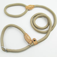Automatically tighten telescopic reflective dog leash