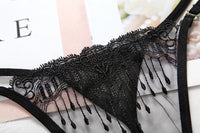 Sexy Strip Transparent Embroidered Women's Underwear Ultra-thin