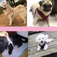 Lightweight Reflective Traction Rope For Dogs