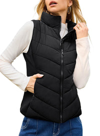 Simple Stand Collar Women's Thick Thermal Quilted Vest