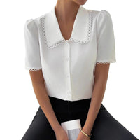 Spring-time Chic Chiffon Blouse For Women Stylish