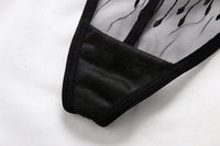 Sexy Strip Transparent Embroidered Women's Underwear Ultra-thin