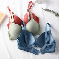 French Lace Bra European And American Plus Size