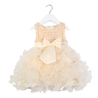 Cake dress flower girl dress