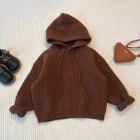 Autumn And Winter Sweater Boys And Girls Hooded Children Fashionable Stylish Cardigan Jacket