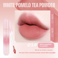 Matte Lip Gloss No Stain On Cup Non-fading Nourishing Long-lasting
