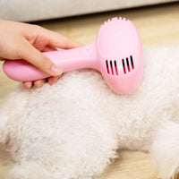 Cat hair cleaner combing cat to remove floating hair
