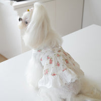 Small Town Flower Print Lace Dog Skirt