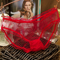 Mesh Panties Women's Low Waist Ultra-thin Sheer Briefs